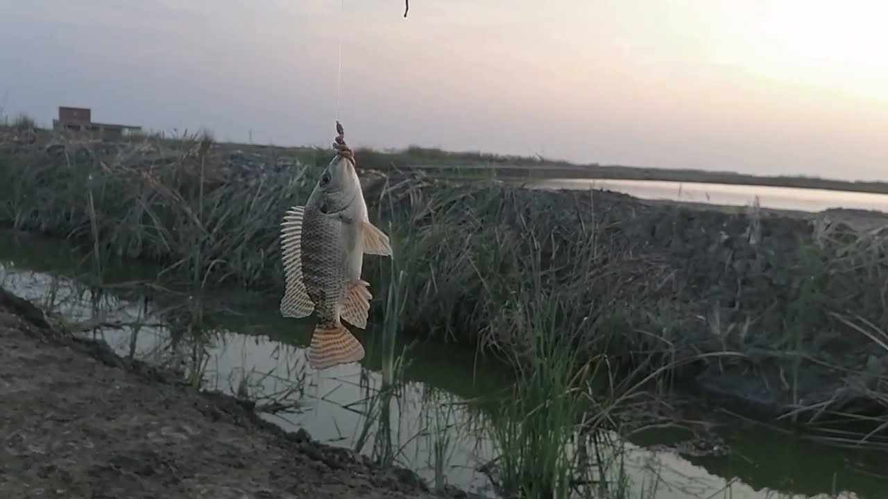 تعبت على ما لقيت الدور اللي شغال