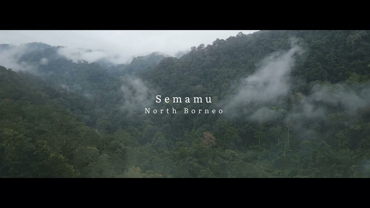 Semamu north borneo