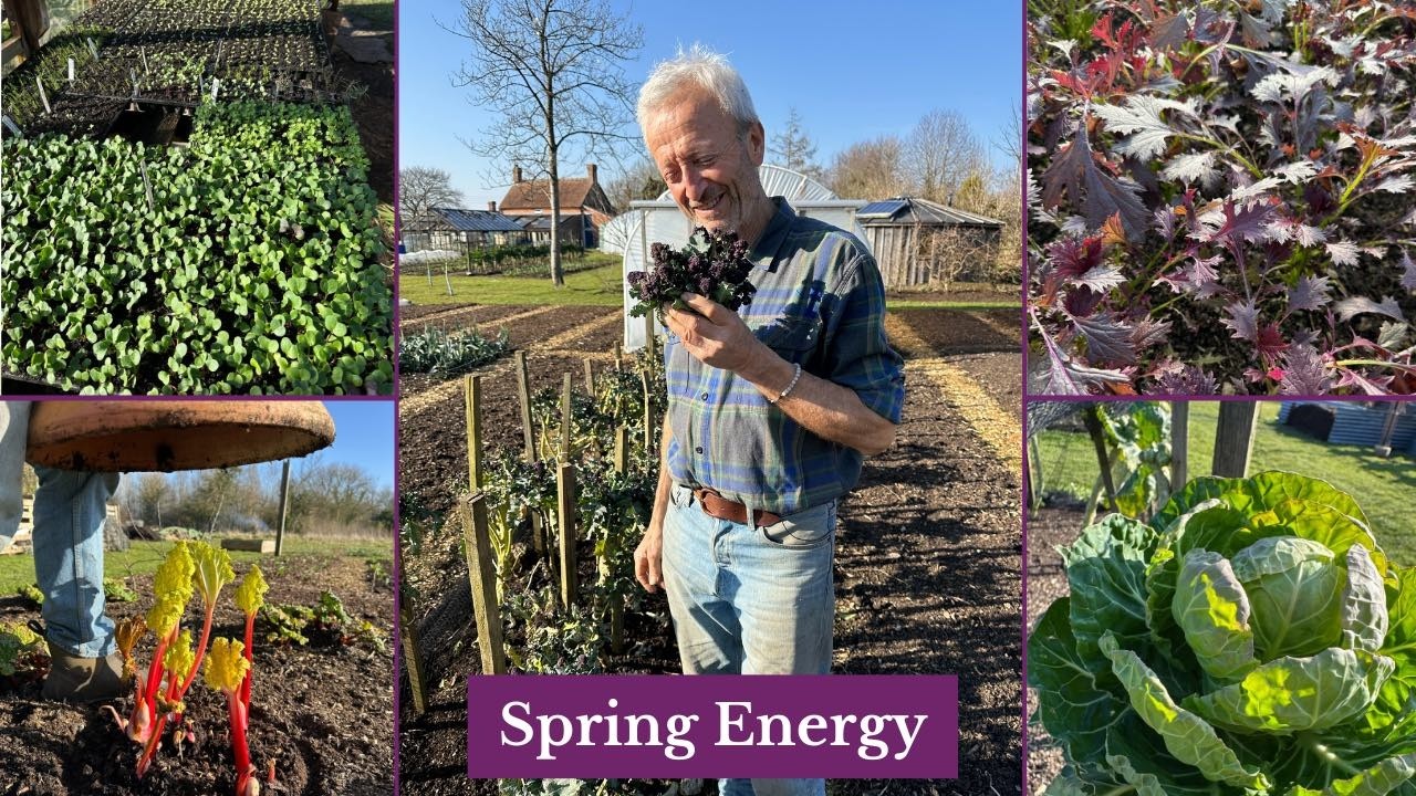 At winter's end, in spring weather