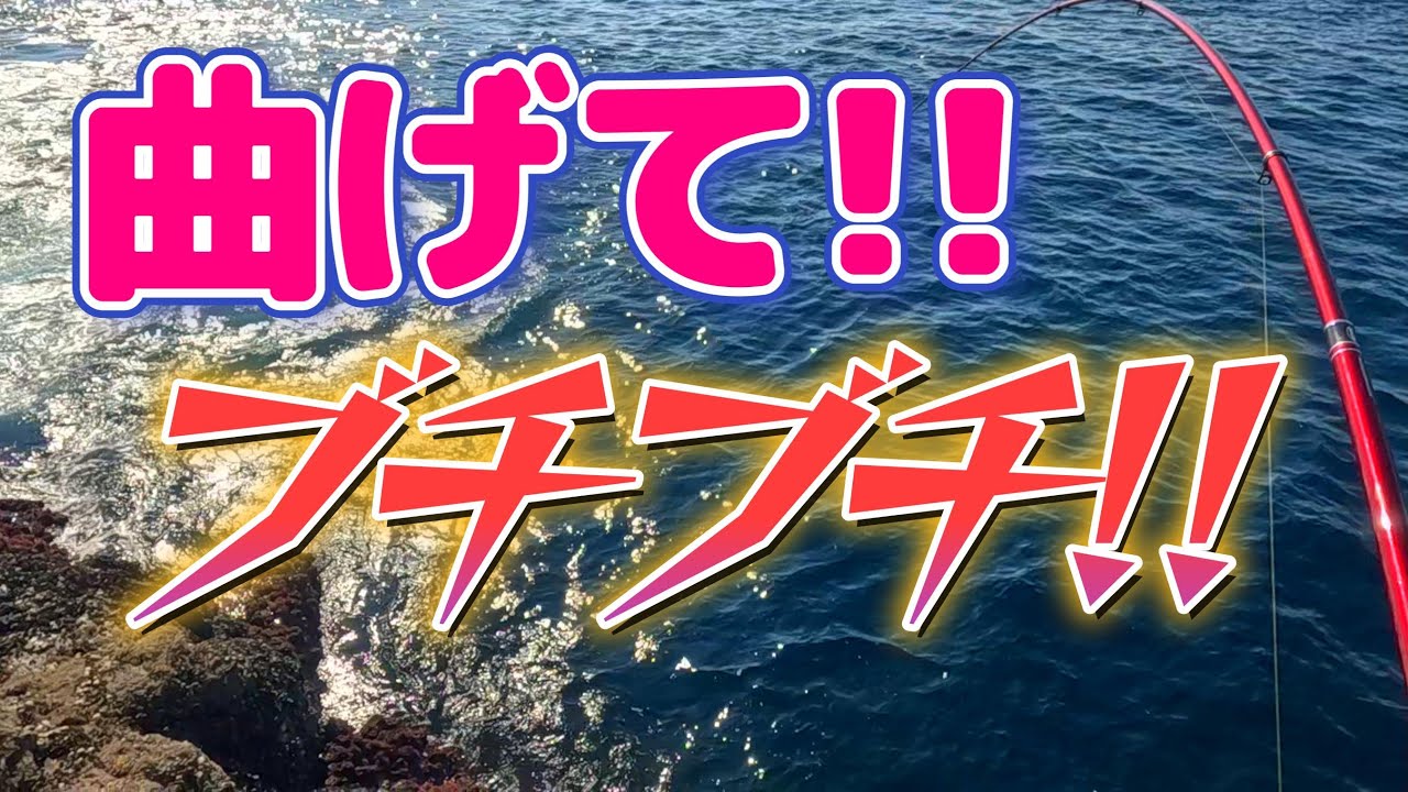 【海釣り】黒潮接岸!!　活性すこぶる良し!!あとは釣るだけ!!