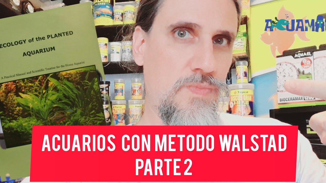 Método Diana Walstad, acuarios low tech, Parte 2