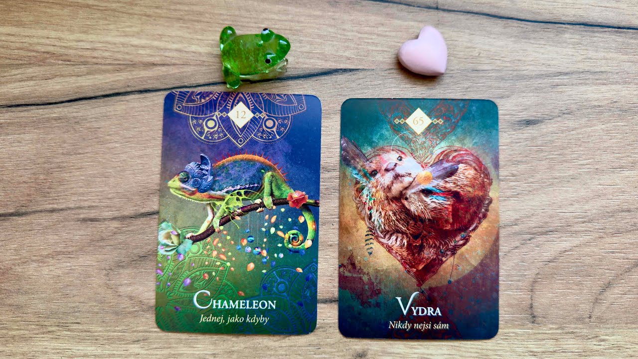 🌸Co vás čeká v prvních jarních dnech? 🌸🤗 Výklad karet BONUS 