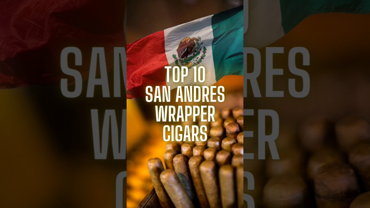 Top 10 Mexican 🇲🇽 San Andres wrapper cigars #info #list #recommended #shorts #luxury #lifestyle