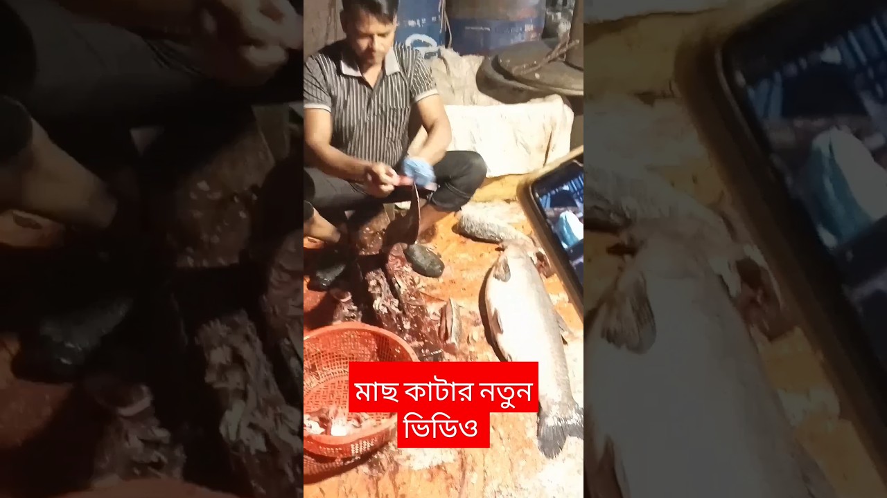 Fish cutting videos#shortvideo#youtubeshorts#shortsviral #shorts#nistudiodrama