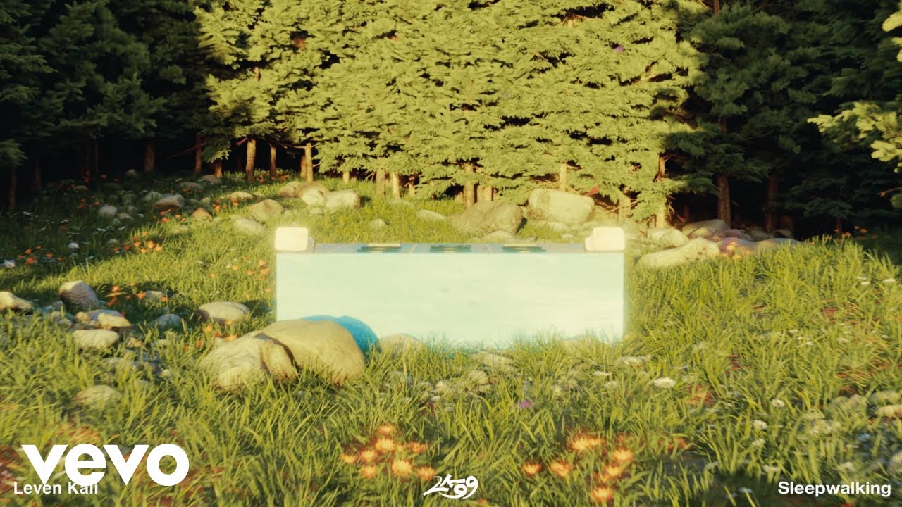 Leven Kali - Sleepwalking (Visualizer)