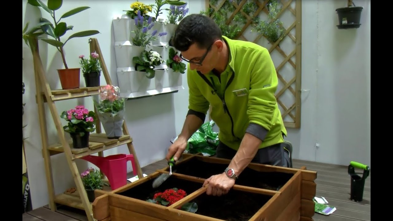#AKIÉFácil criar uma horta urbana