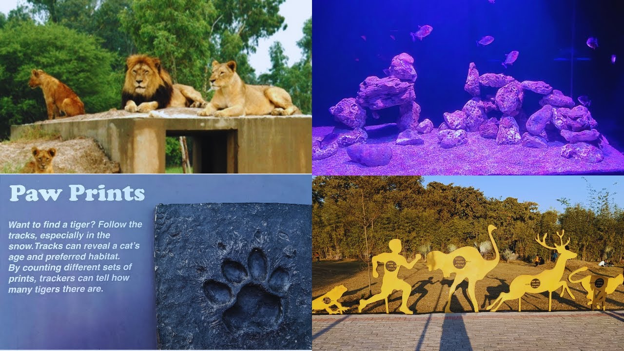 Safari Zoo Lahore Full Tour 🦁