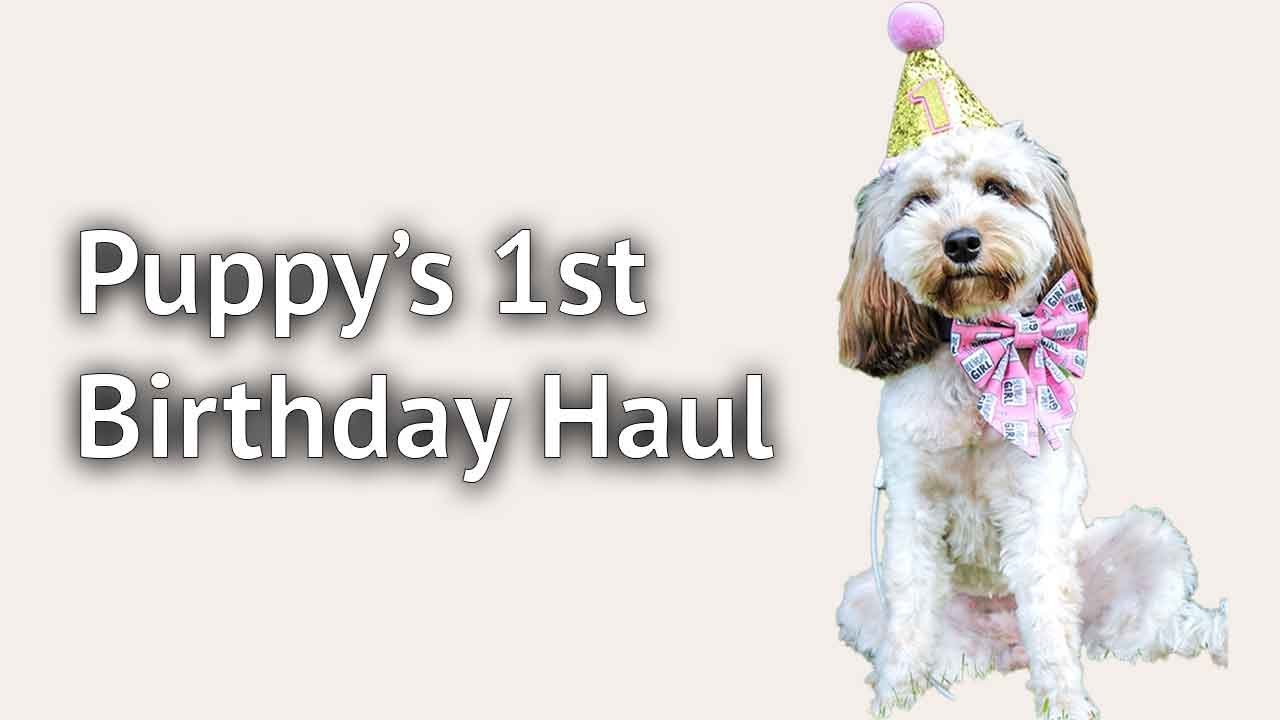PUPPY's 1ST BIRTHDAY GIFT GUIDE: Dog birthday gifts from small UK businesses.