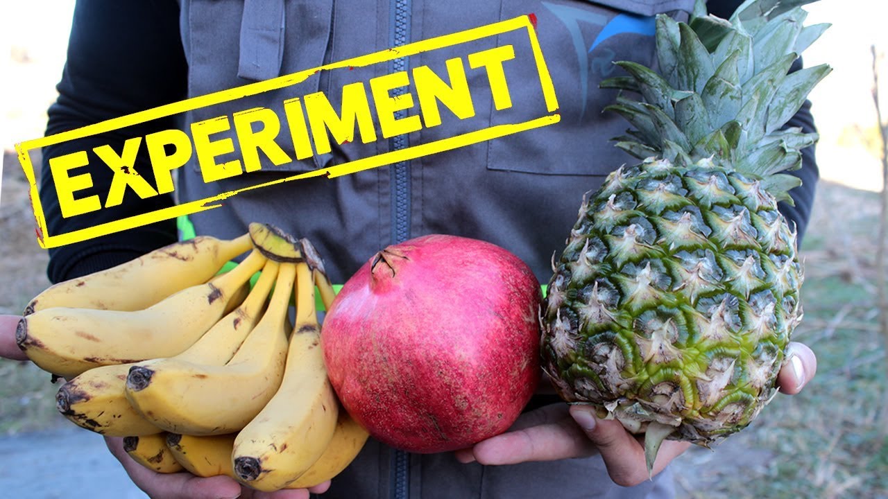 Crushing Crunchy & Soft Things by Car! Mr. Experiment's Car vs Fruits