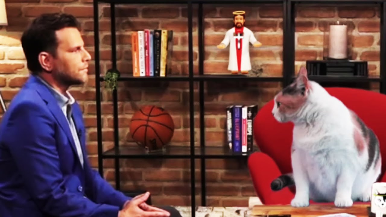 Dave Rubin MAULED By Creationist Cat
