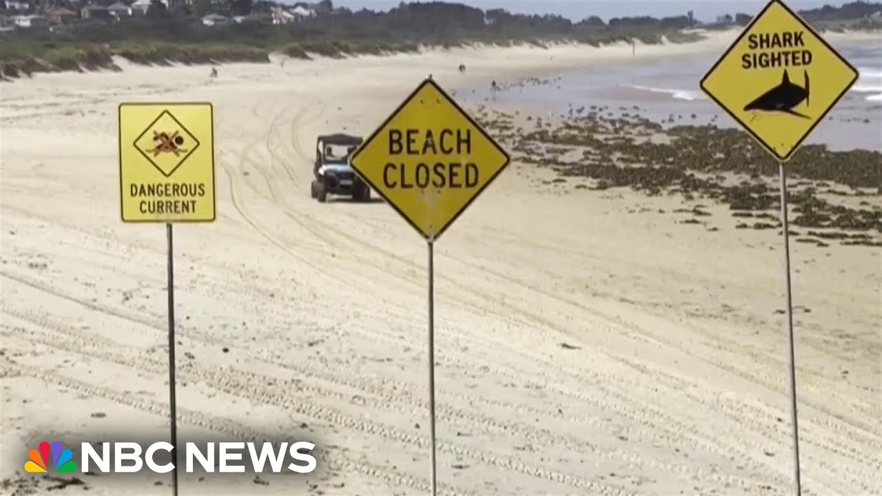 Dozens of Australian beaches close after four shark attacks in less than 48 hours