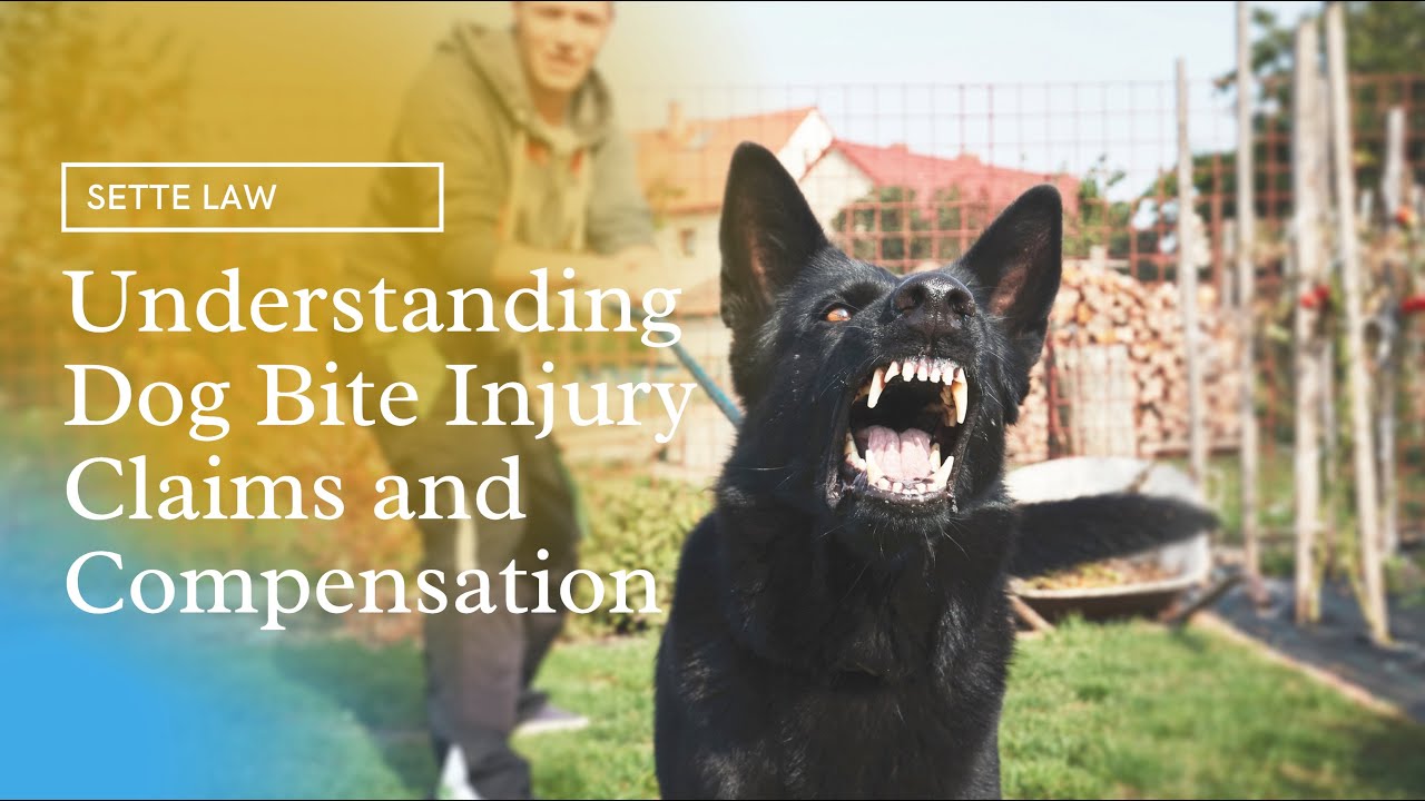 Understanding Dog Bite Injury Claims and Compensation