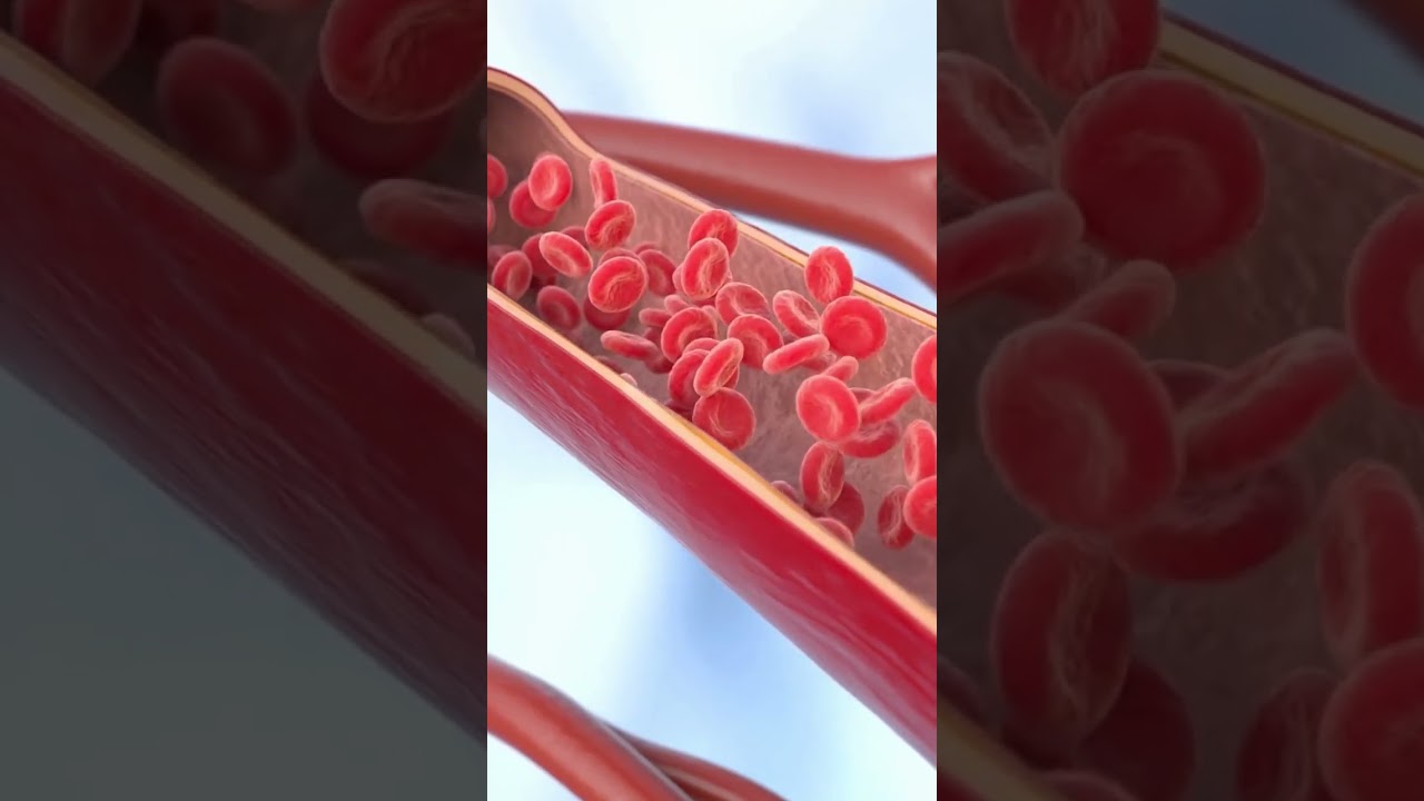 Actos Explained #diabetes #insulin #bloodsugar #health #medicine