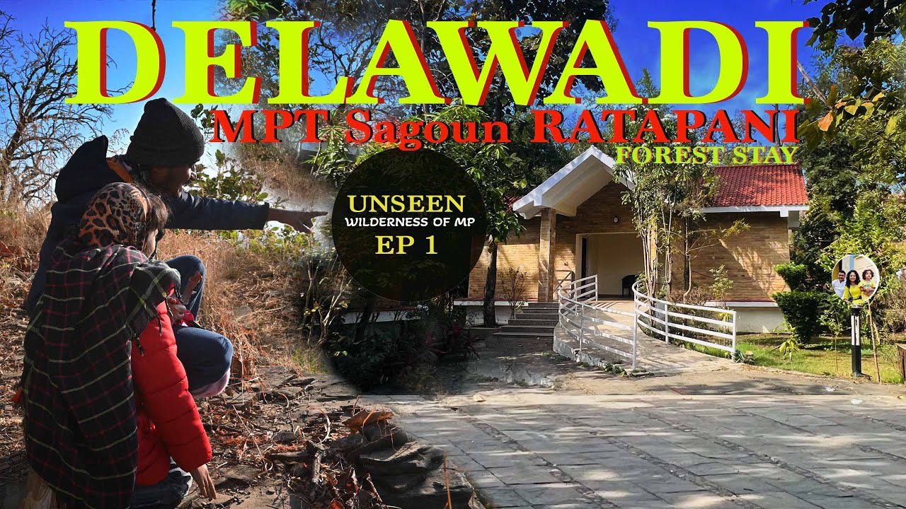 🌿 Exploring MPT Sagoun (Savour) Resort Delawadi & Ratapani |  Unseen wilderness of MP EP 1