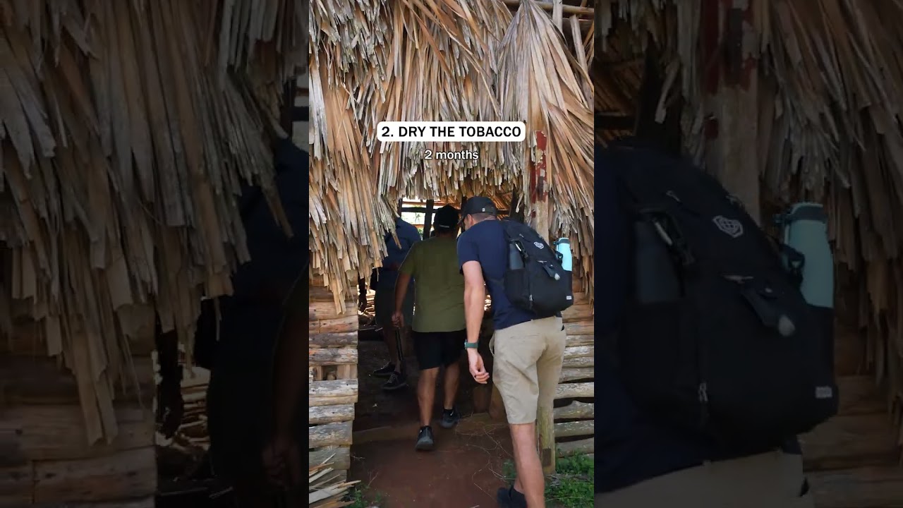 This is How Cuban Cigars are Actually Made