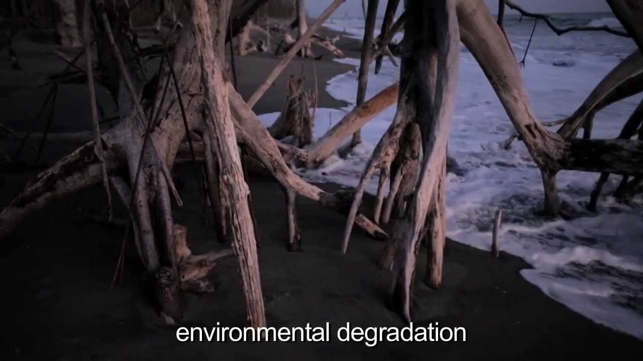 El Salvador: I live from the mangrove forest