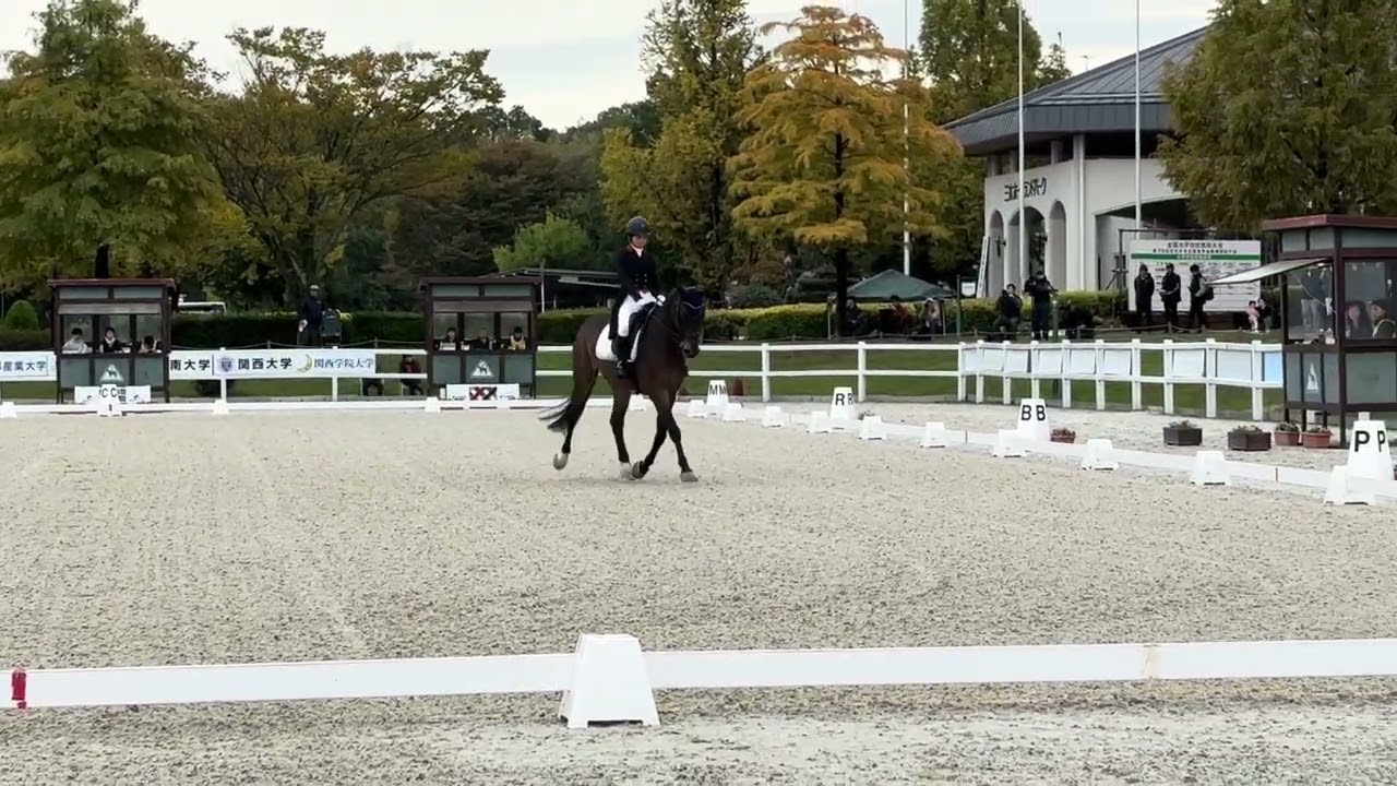 全日本学生馬術競技大会2025　第68回全日本学生賞典馬場馬術競技大会　予選　3年　奥田記枝　桜蝶