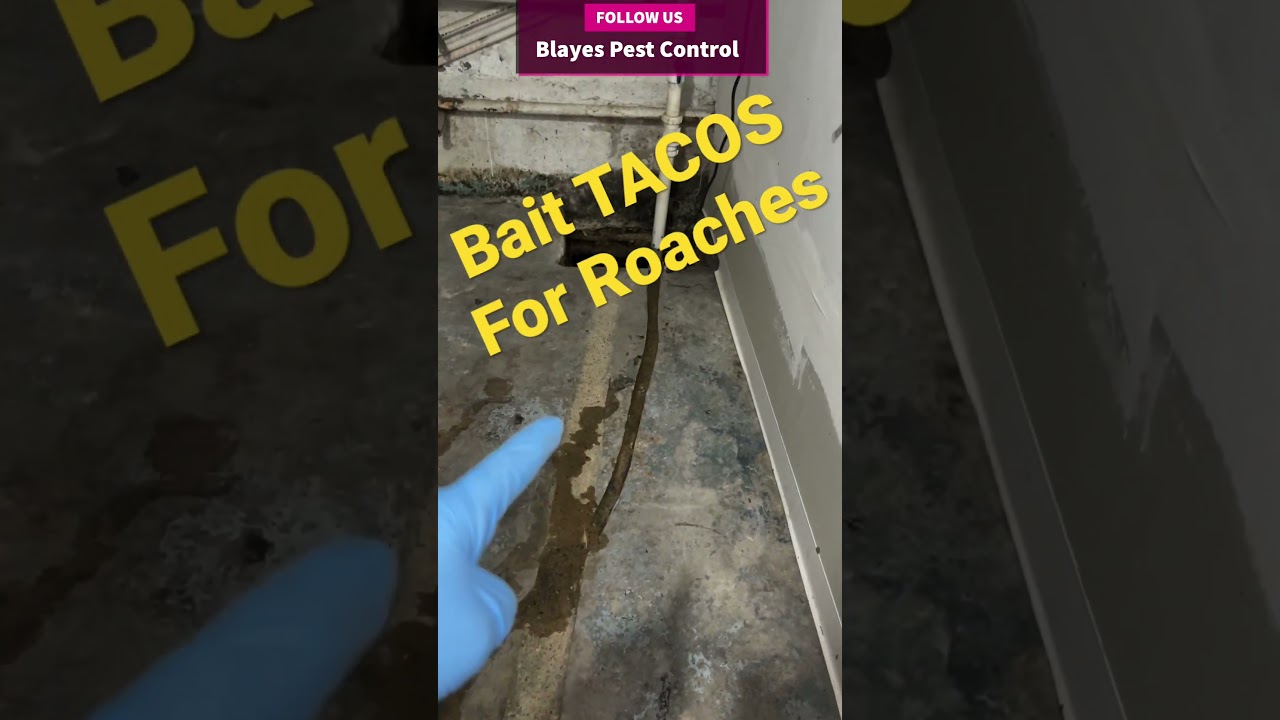 Baiting Roaches, using Bait TACOS in crevices