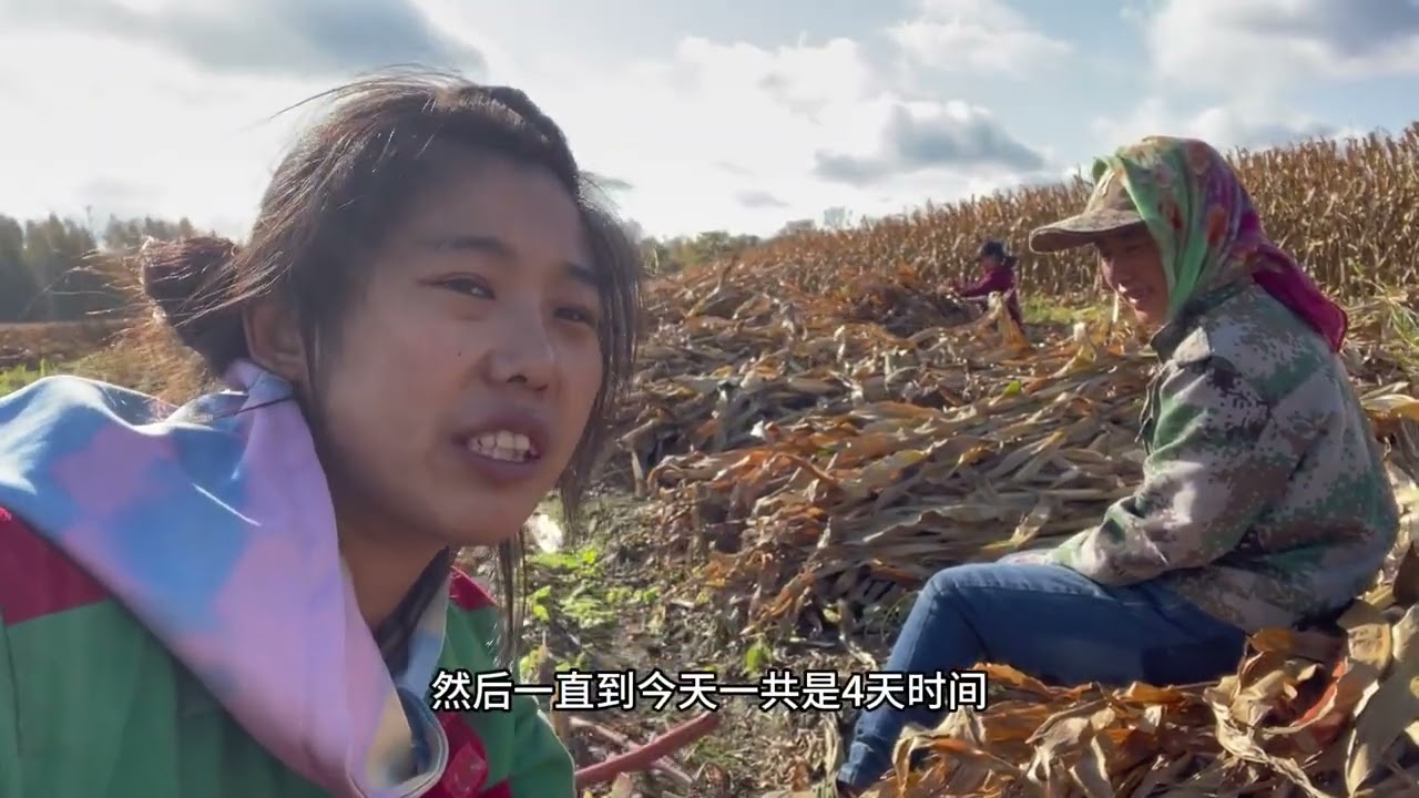 小山沟一大怪象，农忙时节帮别人家干，学雷锋吗？还是另有隐情