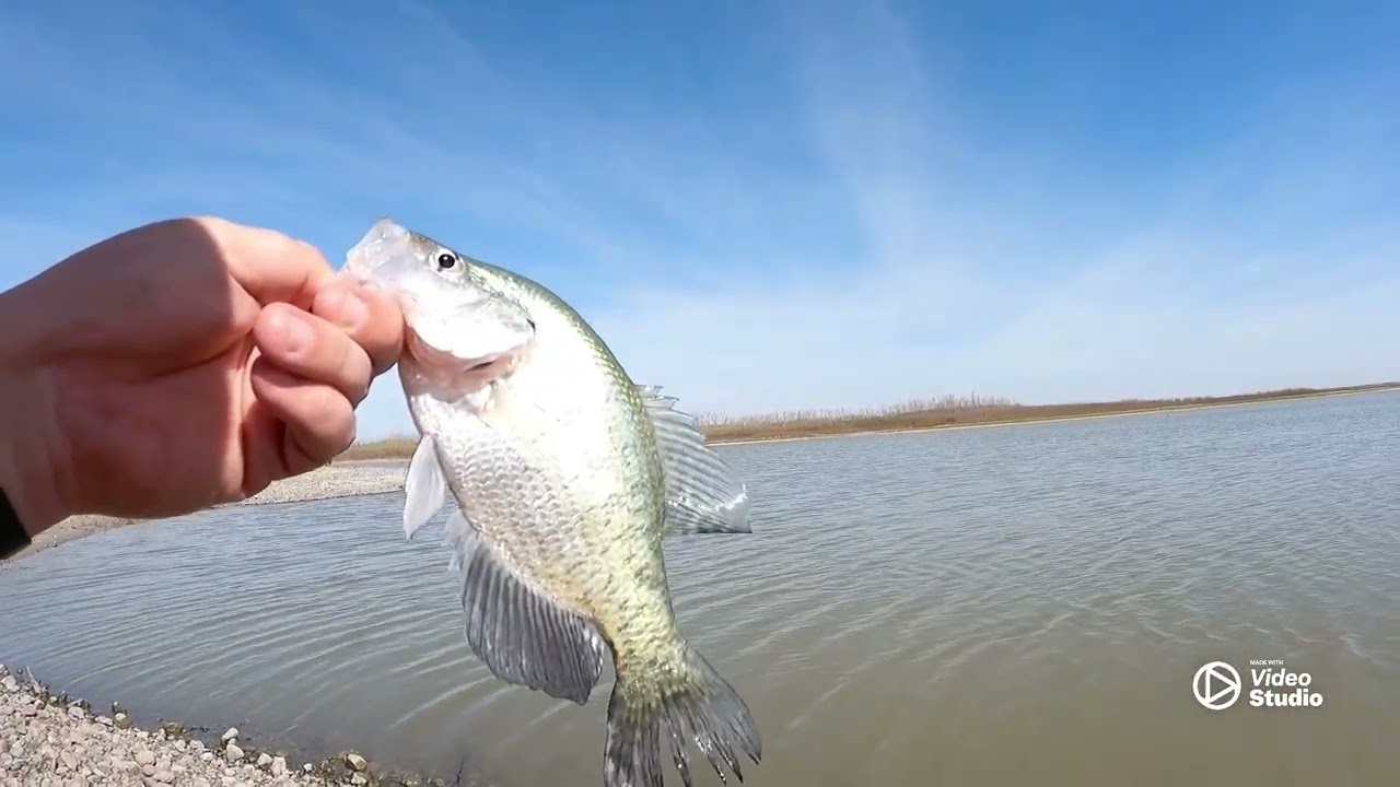 Warm day and warm bite