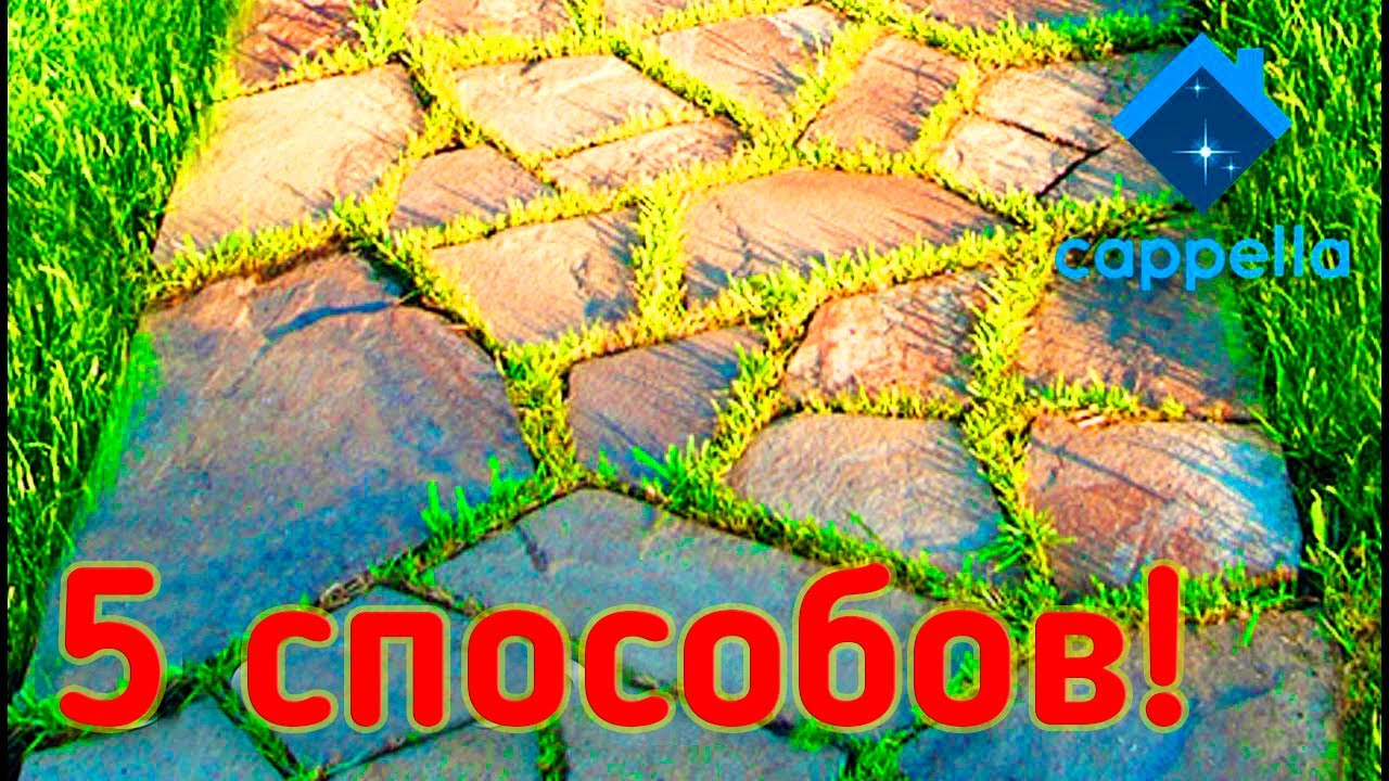 5 способов создания тротуарной дорожки из бетона своими руками