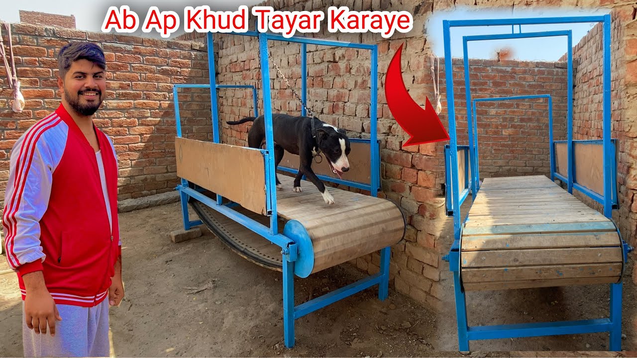 How To Make Dog  Treadmill At Home | Dog Treadmill Kesay Tayar Karaye | Urdu | Hindi | Punjabi