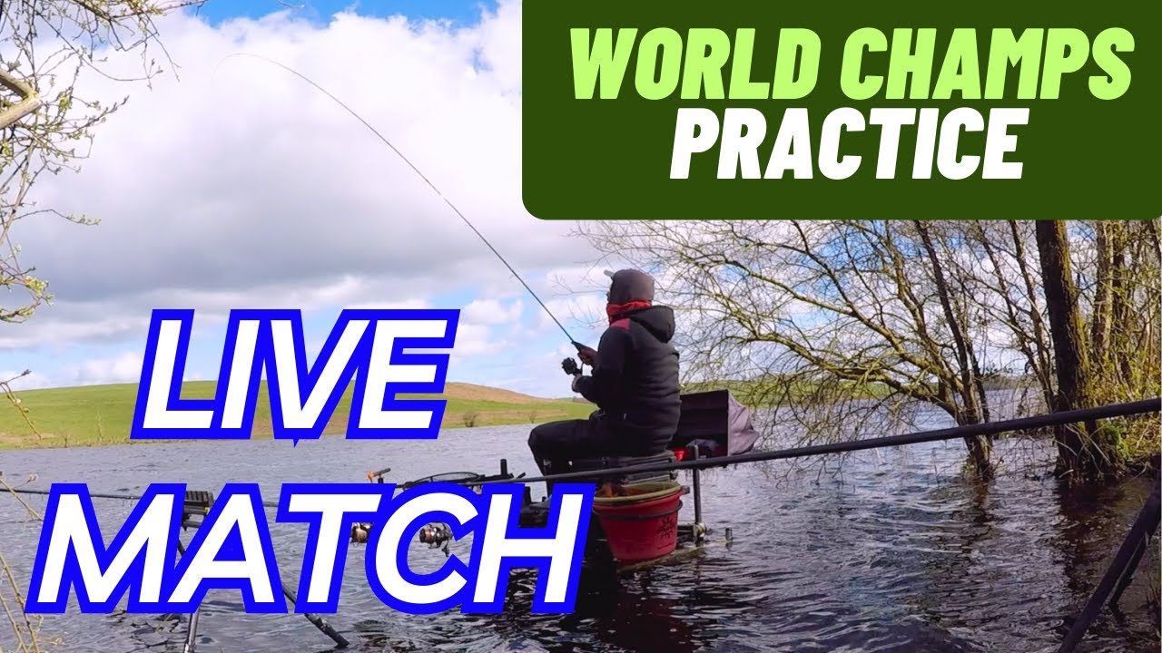 MATCH FISHING LIVE - FEEDER FISHING - WORLD CLUB CHAMPS PRACTICE FESTIVAL