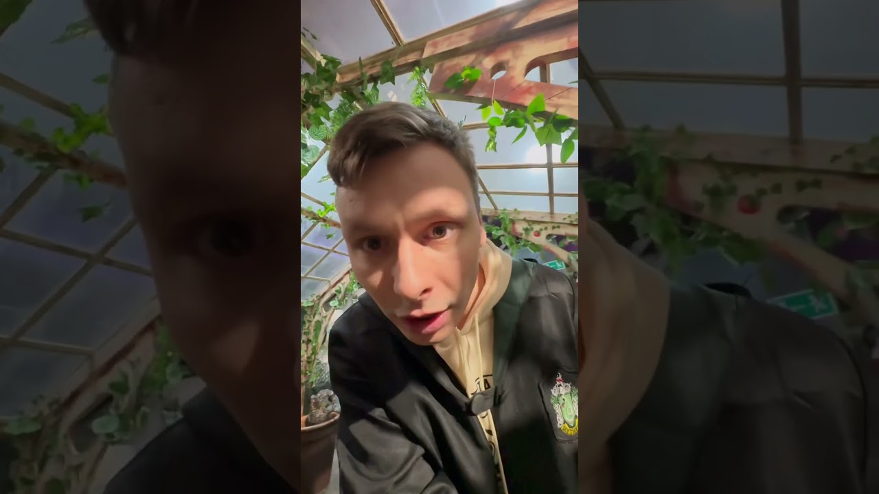 Сын и корень мандрагоры😅