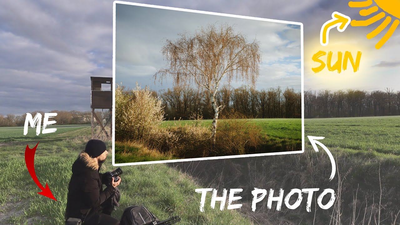 The morning SIDE LIGHT | Nikon D90 | Nikkor 50mm Lens | Woodland & Landscape Photography