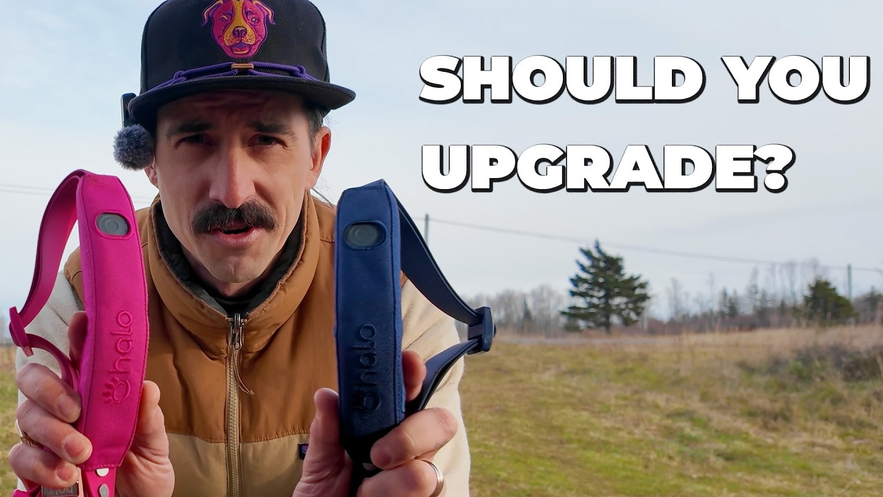 Is the HALO 5 Collar Worth Upgrading or Is There Something BETTER?