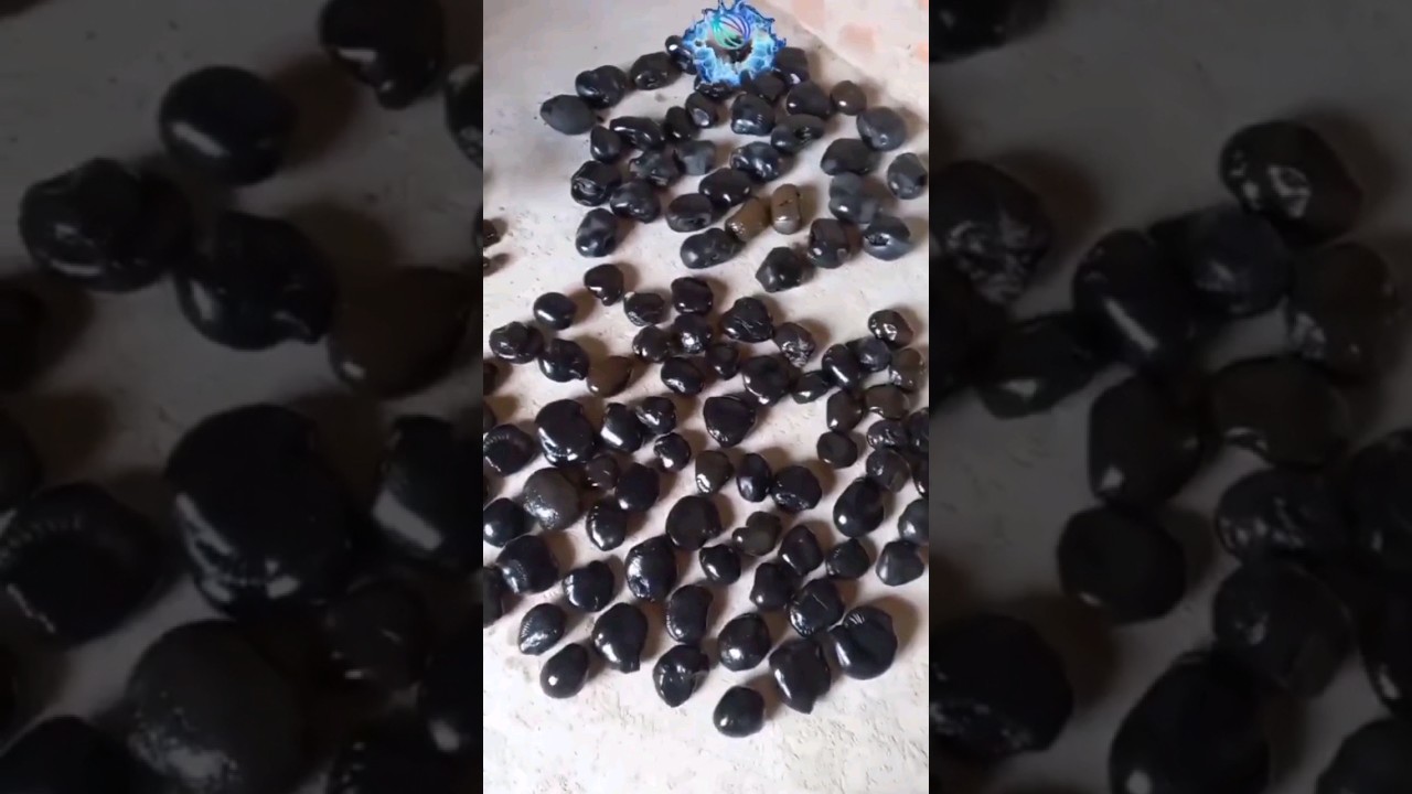 Shaligram, Different types of shaligram shila 💐💐 #shorts #short #shortsfeed