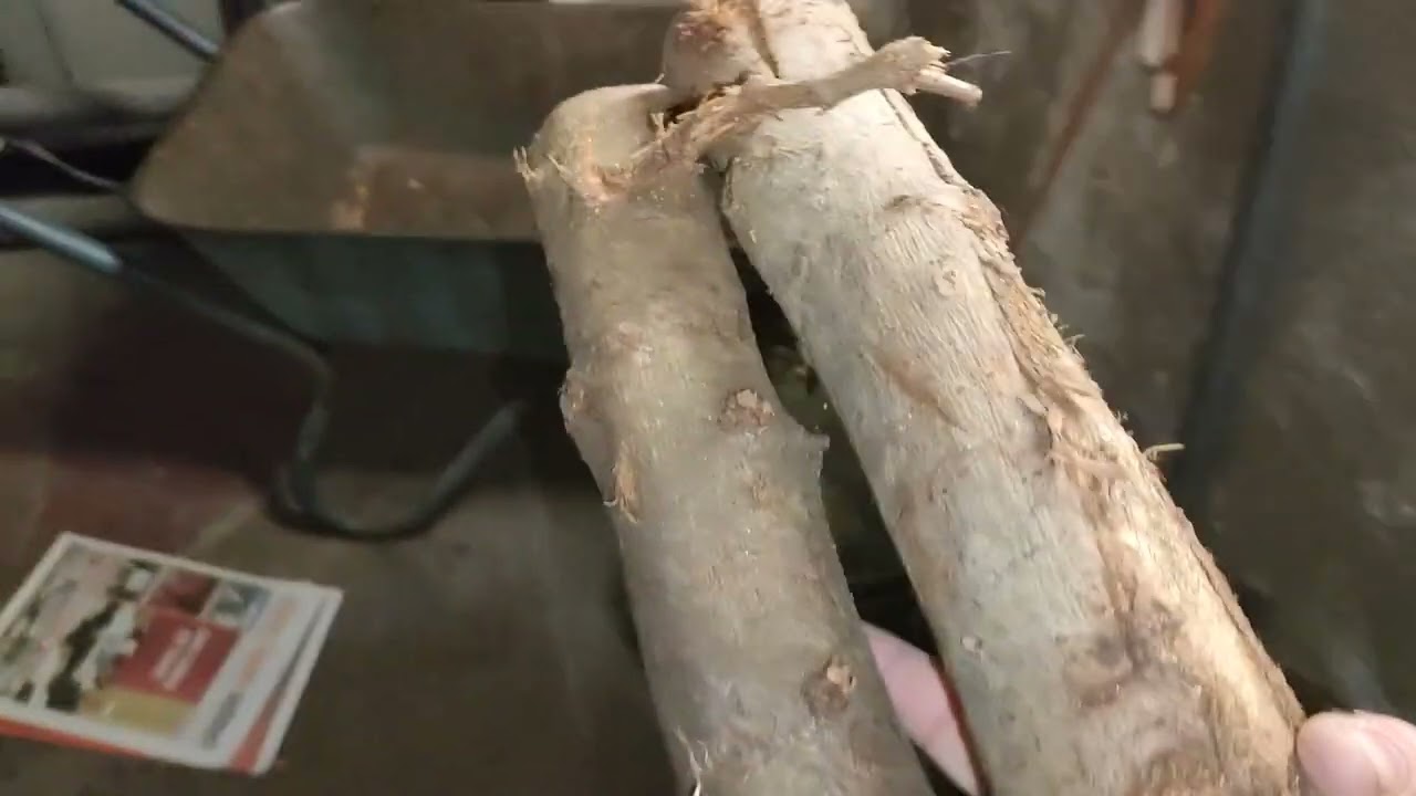 Fröling Turbo 3000 50kw anzünden anheizen Holzvergaser