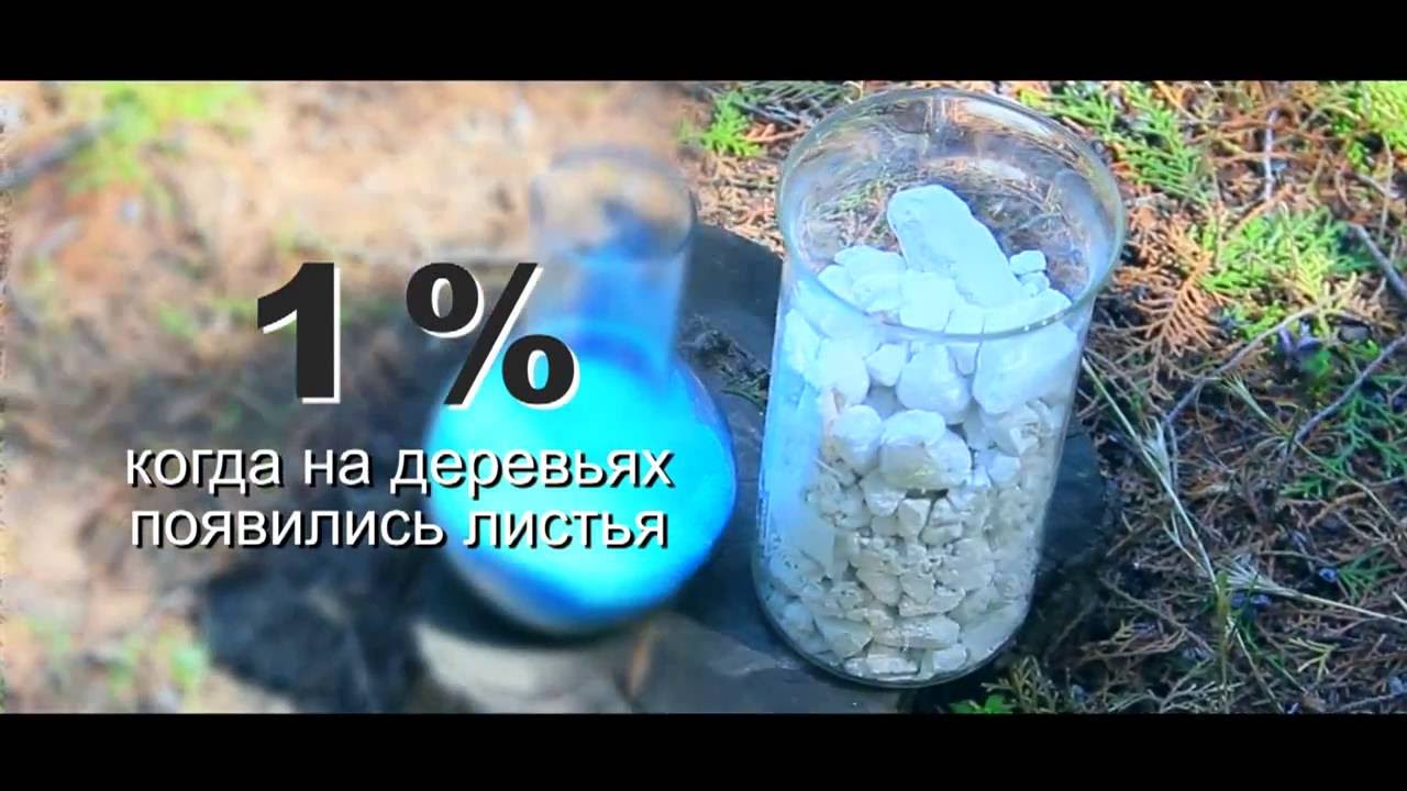 Как приготовить бордоскую жидкость?