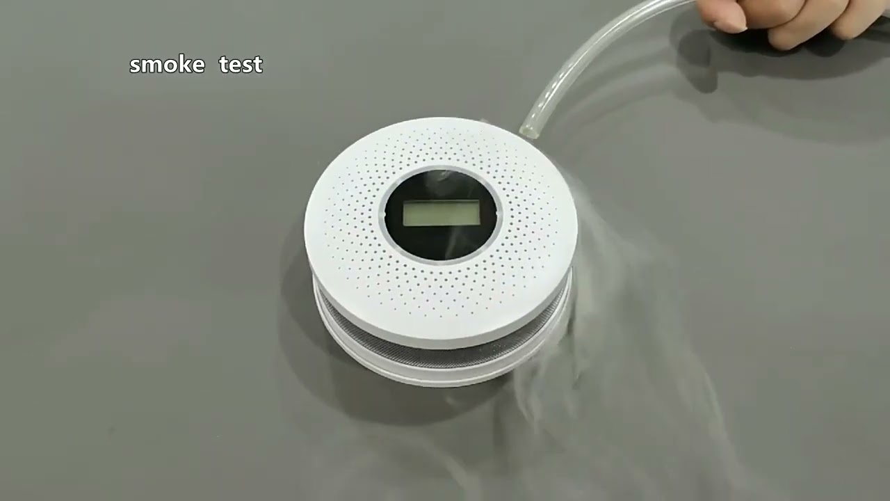 Test Reale Sensore Tuya di Fumo e Monossido di Carbonio  Rilevatore Interconnesso