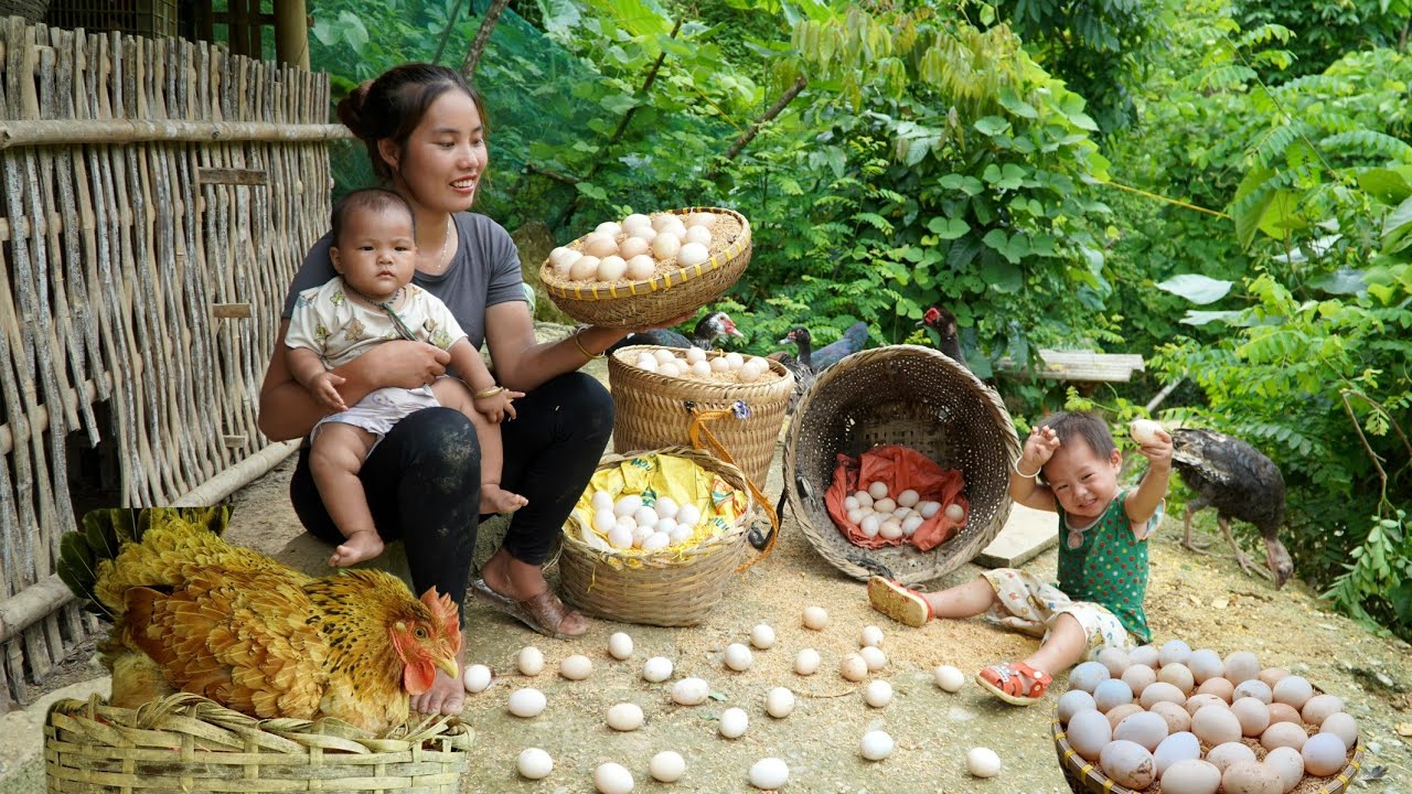 Harvest chicken and duck eggs at the farm to sell at the market - buy a walker for your child