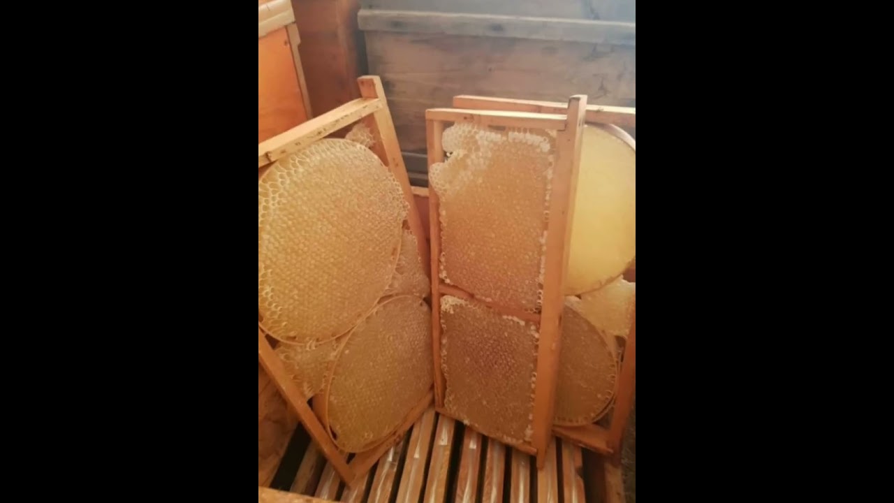 Kaliteli Balın Adresi Ve Tek Merkezi 🍯&Ccedil;AĞATAY BAL D&Uuml;NYASI🍯