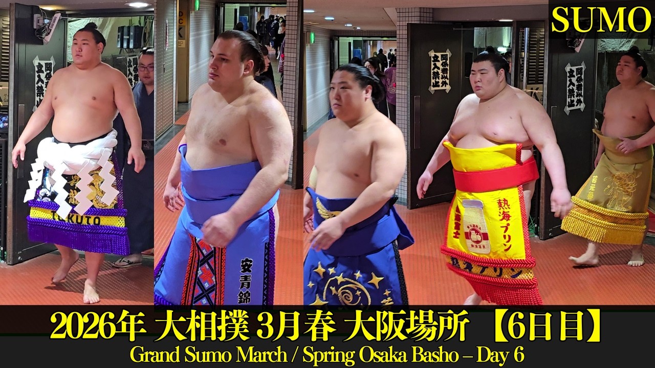 東支度部屋前で入り待ち・出待ち❗【大相撲 3月春場所 大阪 6日目】 Grand Sumo March 豊昇龍 安青錦 熱海富士 若元春 生田目