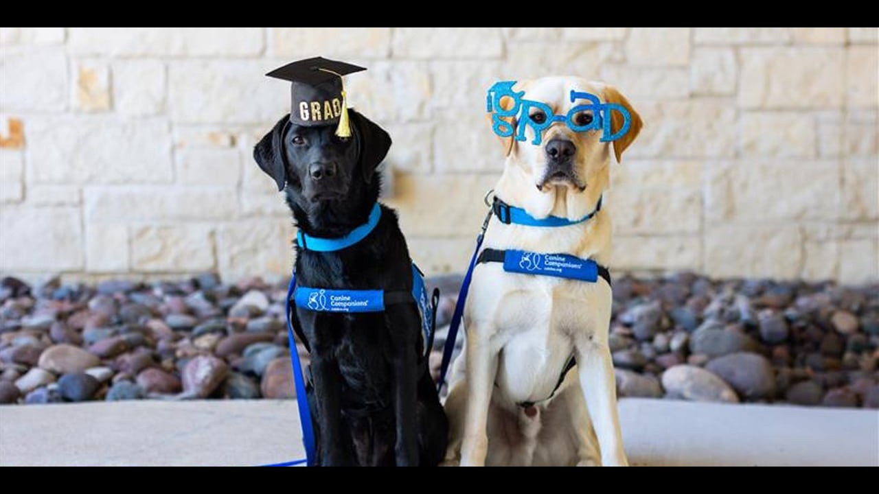 Hearing Graduation | Southwest | Friday, March 6, 2026 | Canine Companions