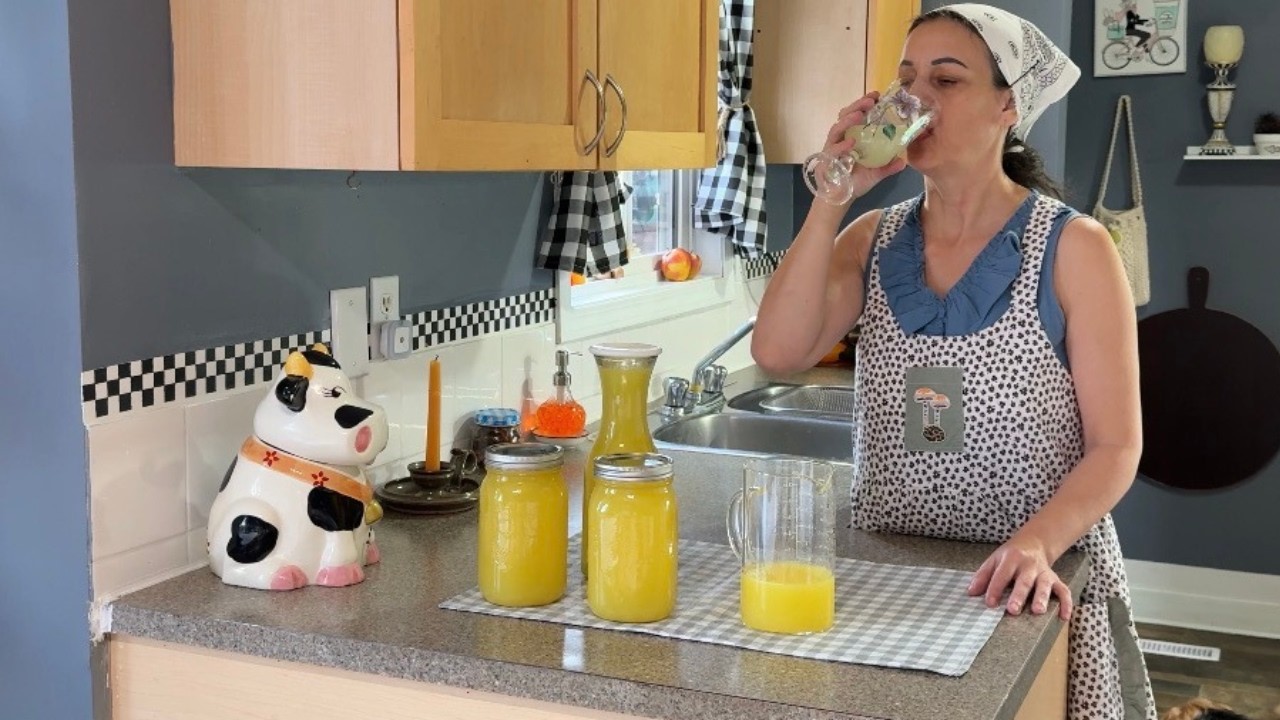 From Lemonade & Jam to Japanese Cooking | Cozy Country Kitchen Days