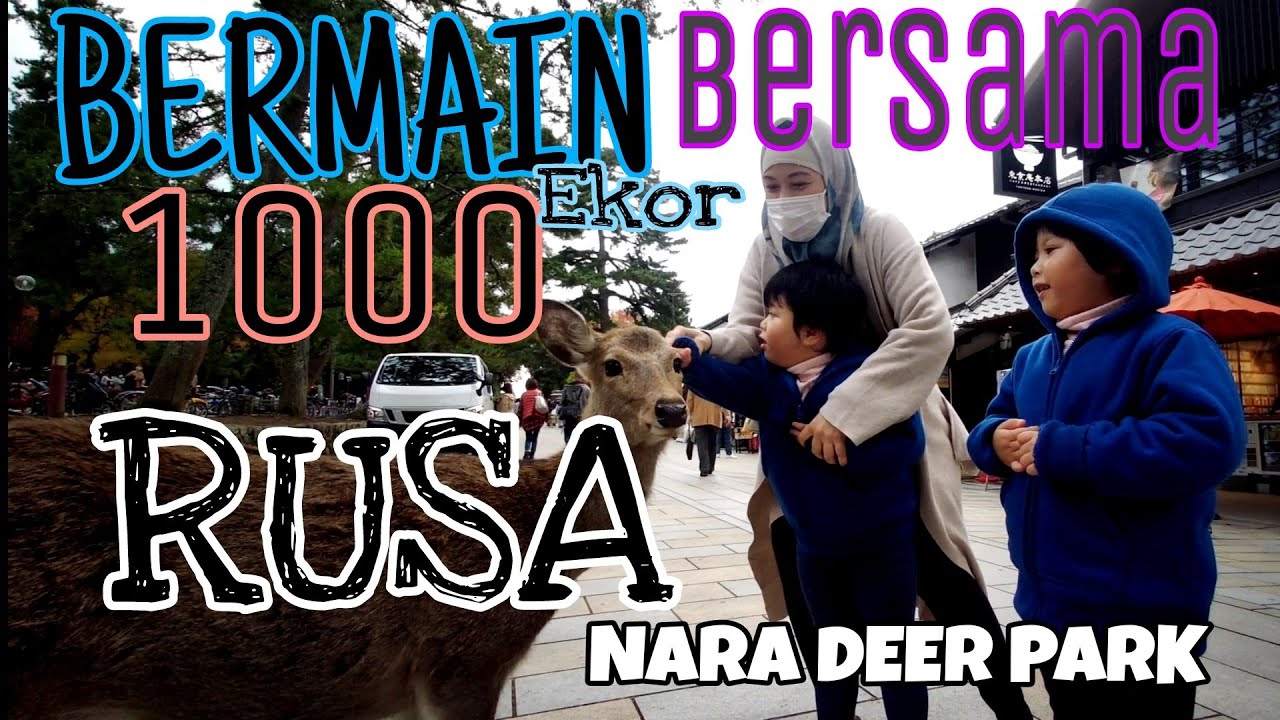 NARA DEER PARK | Kyoto japan 2020