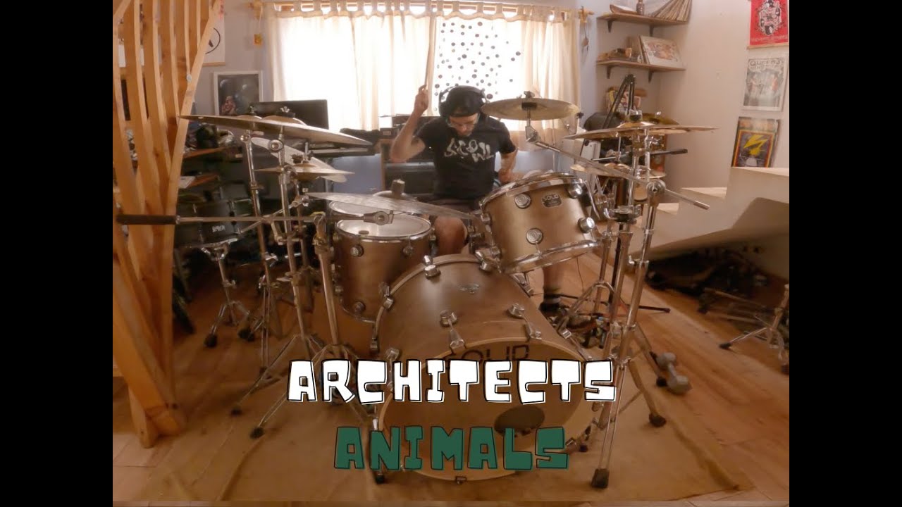 Architects - Animals Drum Cover