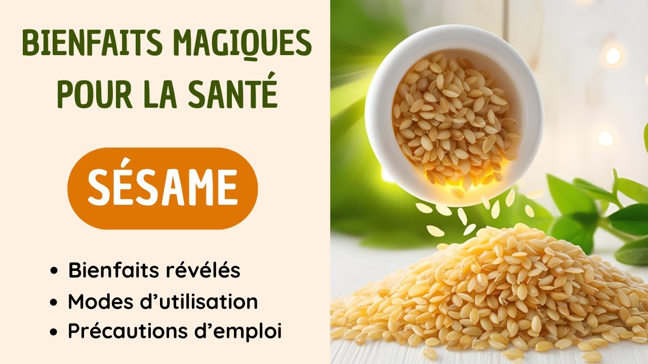 Pourquoi les Experts en Nutrition Recommandent-ils le Sésame au Quotidien ? 🍽️✨