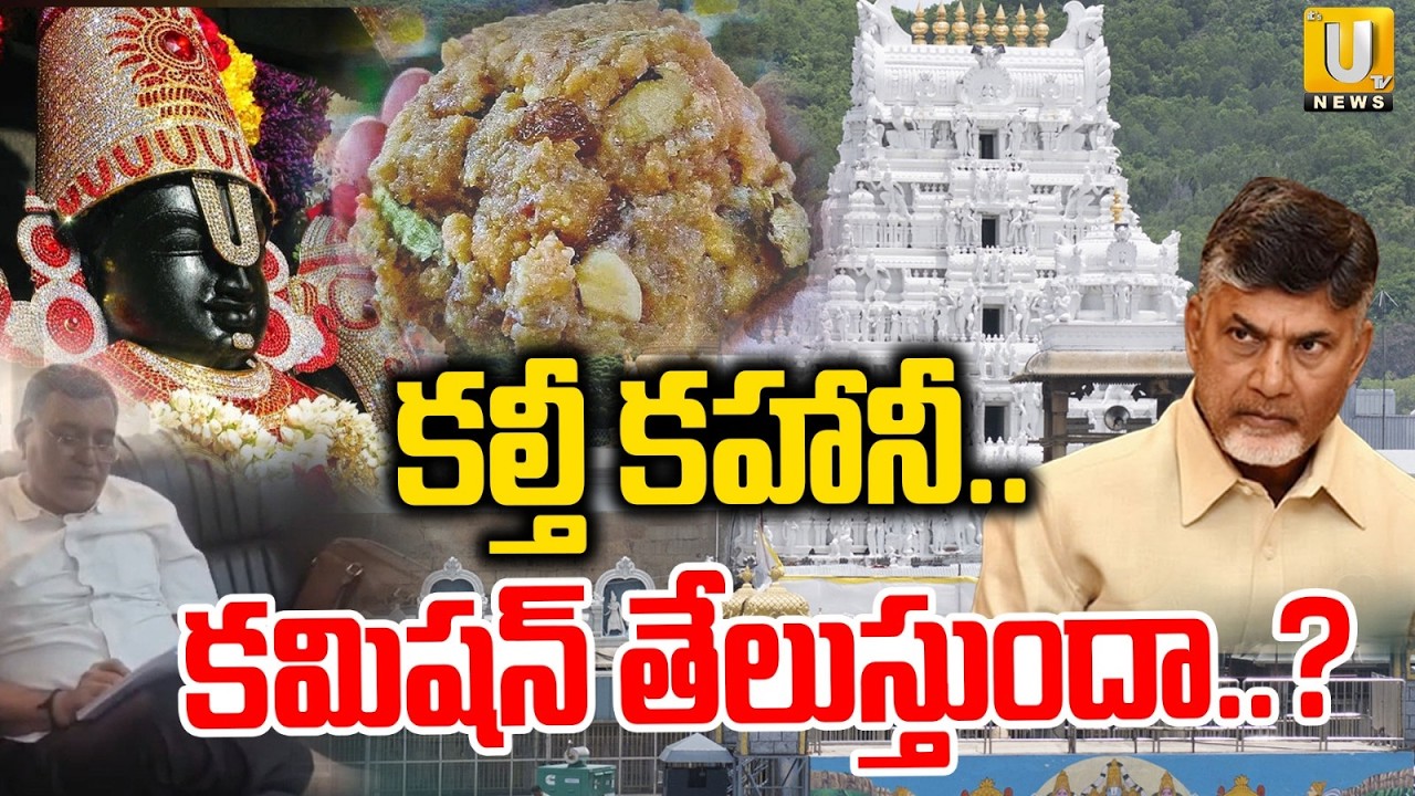కల్తీ లడ్డు పై నివేదిక ?| Report On Tirumala Adulterated Ghee Case | Tirumla Laddu | ITS UTV News