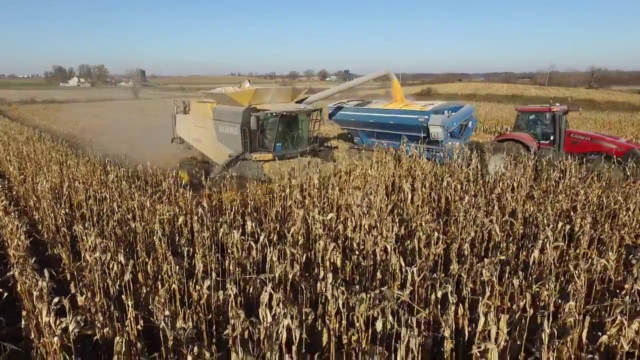 CLAAS Lexion 740 TT Combine Harvesting Corn