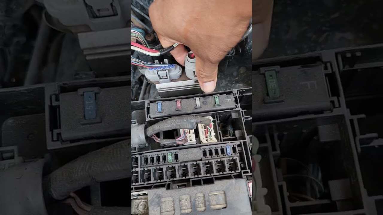 fallas  injector pump toyota tundra 4.7 2006 p2438