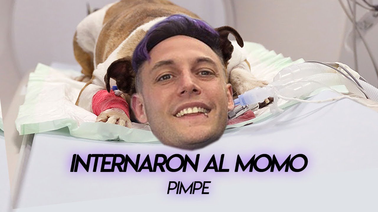 INTERNARON AL MOMO ♪ Pimpe