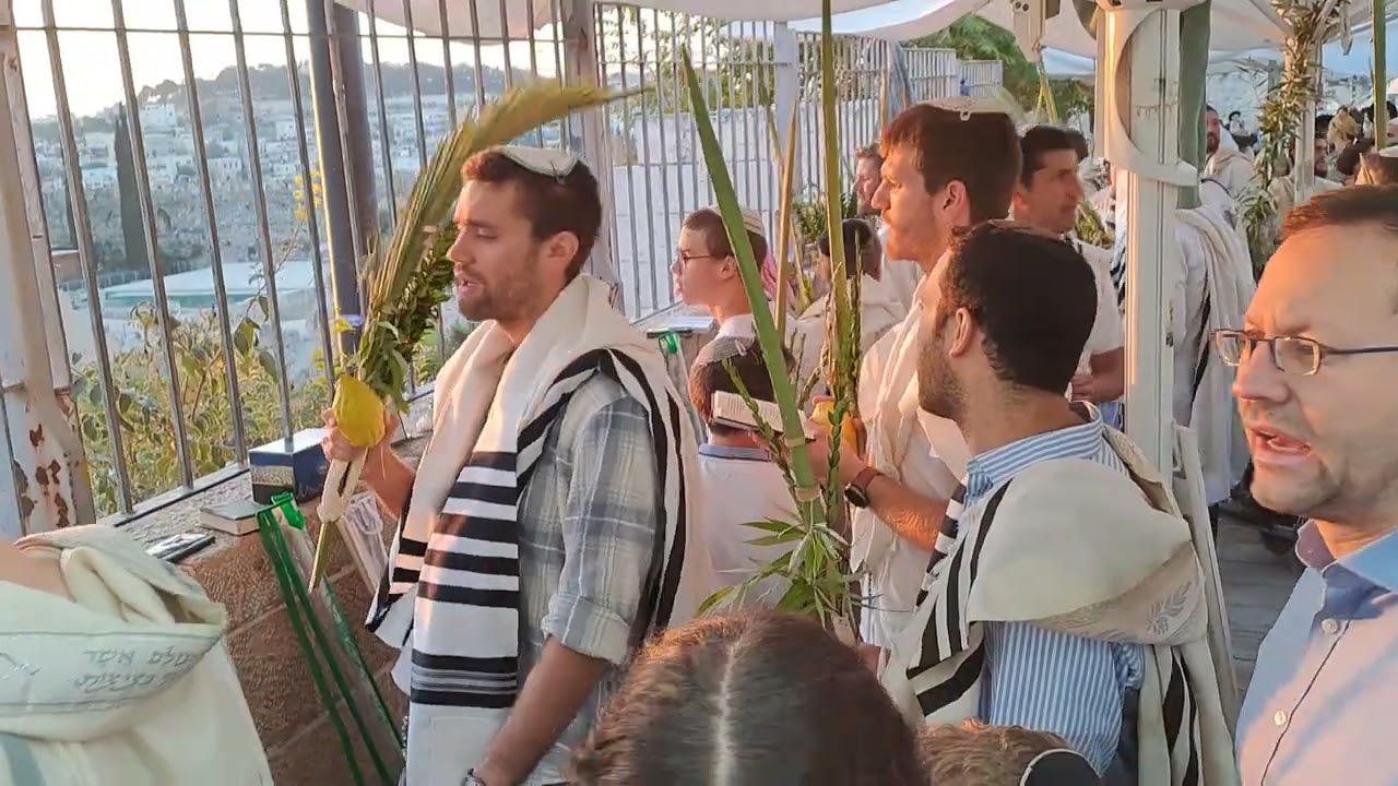 הלל בכניסה להר. ותיקין הושענא רבה התשפג