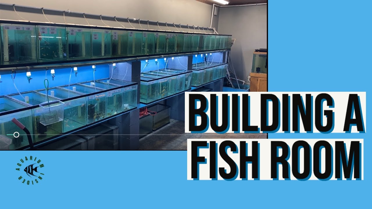 Setting up a fish room? Check this out before!