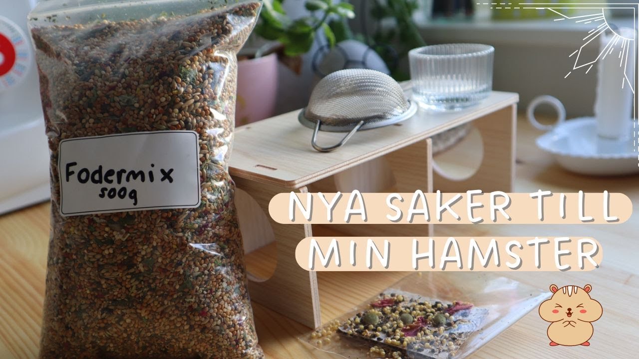 Shoppar till min hamster (haul)