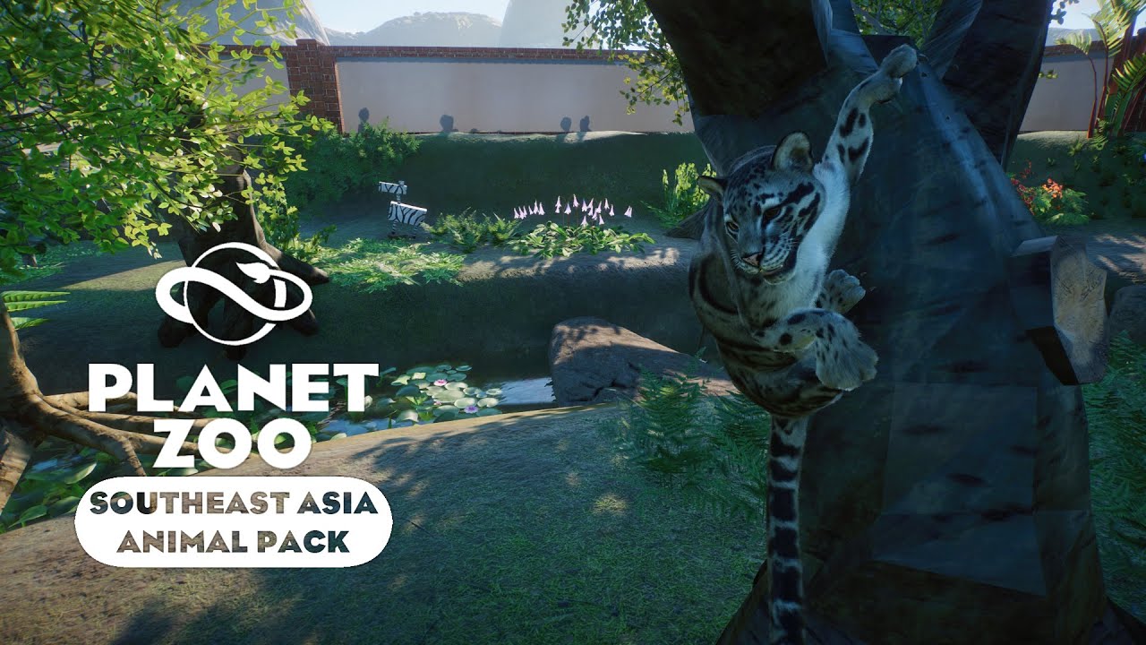 Planet Zoo: Southeast Asia - Обзор обновления #6
